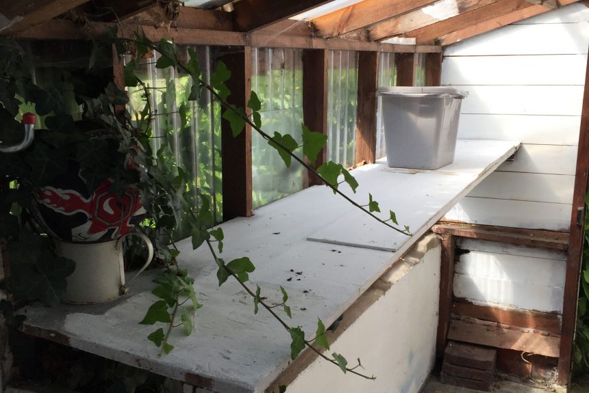 Inside the outhouse before renovation